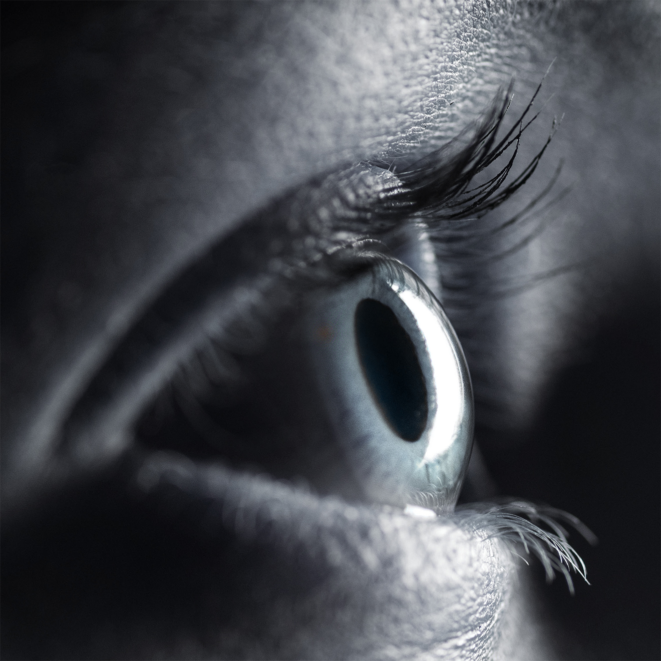 Our Eye to the Future